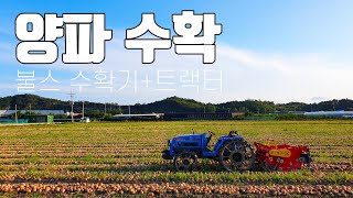 양파 수확 트랙터 불스 수확기 Onion Harvesting Machine Agricultural Tools…