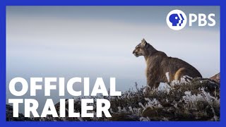 Trailer Thumbnail