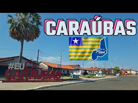 INÉDITO: Conheça CARAÚBAS do PIAUÍ