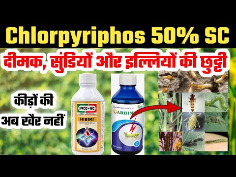 Chlorpyriphos 50 Ec Insecticides