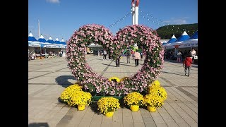 군위 농산물 한마당 축제