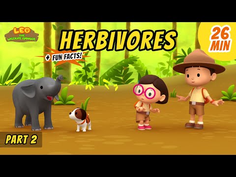 Herbivores (Part 2/3) - Animals Stories for Kids | Educational | Leo the Wildlife Ranger
