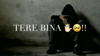 Tere Bina Na Saans Lu !!sad watsapp status!! #sad #bindassstatus7 #sad_watsapp