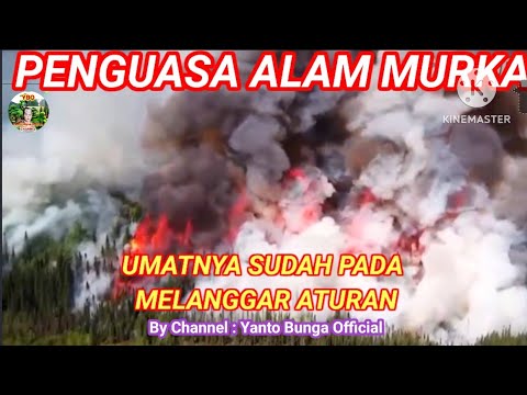 PENGUASA ALAM SEMESTA MURKA