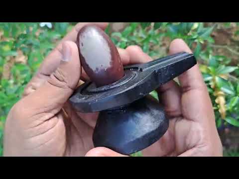 Shaivism Shivling with Black Yonibase for Home/Office Puja video