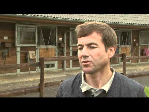 Pferdewetten.de Stallcheck bei Peter Schiergen