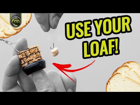 BAG UP ON BREAD! (Surprise catch!)