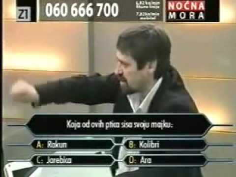 Nocna mora - Jaran milijunas - Koja od ovih ptica sisa svoju majku: