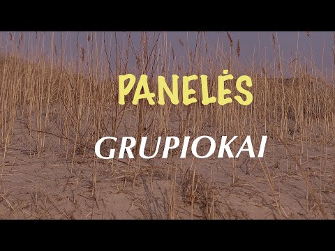 Grupiokai - Panelės