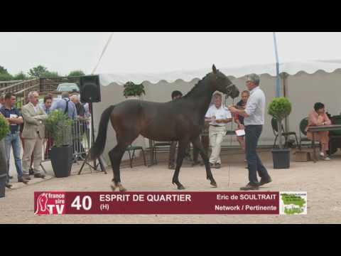 Concours AQPS Cercy 2016 Lot 40 : ESPRIT DE QUARTIER