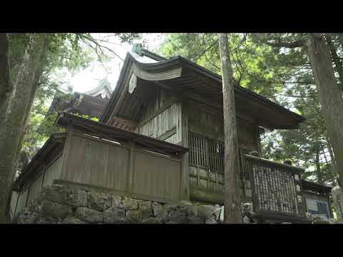 悠久の横倉山（横倉山自然の森博物館）
