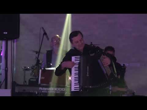 Ljubiša Pavković - splet kola 2019 || Balkan accordion music ||  Acordeón musica