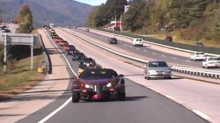 Prowlers in the Smokies dadillo