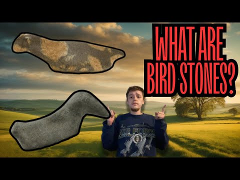 Native American Birdstone (Adena / Hopewell / Mississippian Culture)