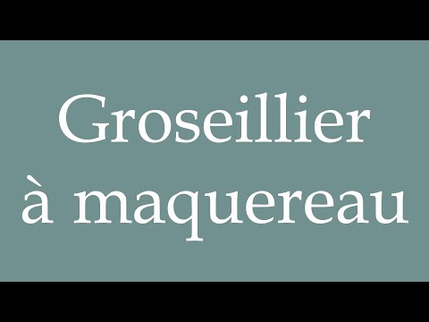 How to Pronounce ''Groseillier à maquereau'' (Gooseberry bush) Correctly in French