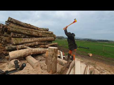 Ochsenkopf Spalt Fix / Stihl Pro Axe vs Ash Wood