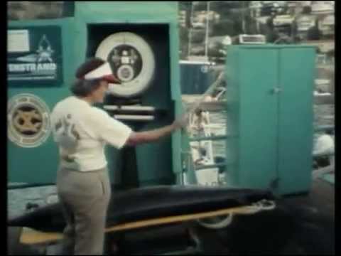 (16) La Collection COUSTEAU - Îles du Détroit, les eaux de la discorde (1987)