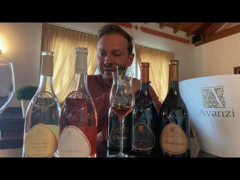 Avanzi Tasting at Little Italy