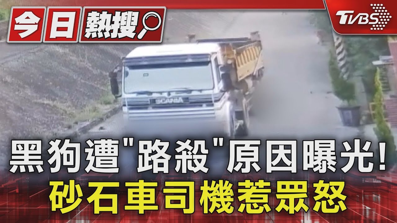 離譜！ 砂石車惡意追撞路邊黑狗　監視器曝光　司機下場GG了