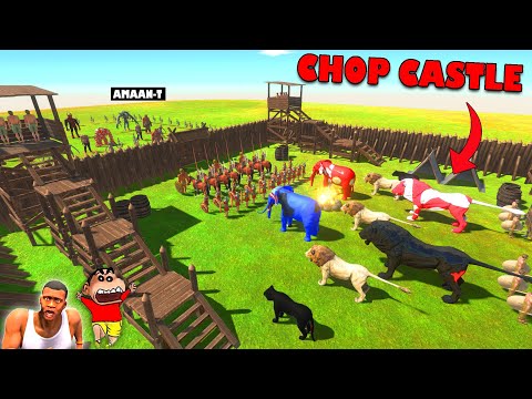 CHOP and SHINCHAN CASTLE vs AMAAN-T ARMY in Animal Revolt Battle Simulator | AMAAN-T GAMING