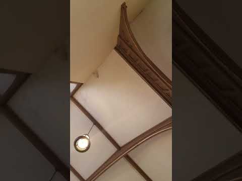 Panem de Caelo - Kevin Allen