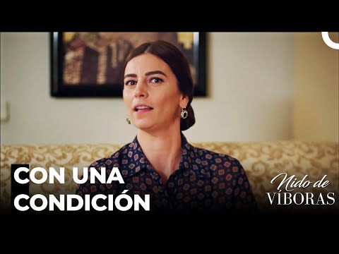 ¡Shefika Tiene Un Plan! - Nido De Víboras Capitulo 18 (Dobladas en Español)