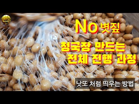 청국장 만드는 전체 진행 과정 | 낫또처럼 띄우는 방법