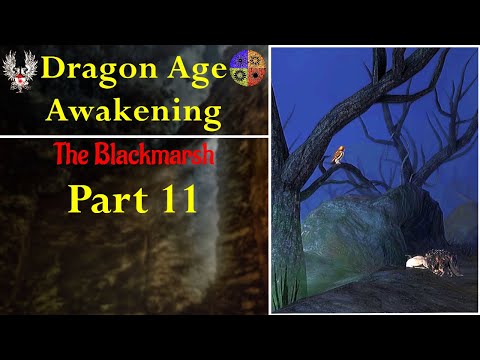Let's Play Dragon Age Awakening: Blackmarsh! Part 11
