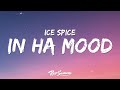 Ice Spice In Ha Mood Lyrics