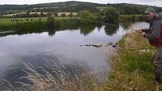 preview picture of video 'Suir Evening Fishing August 2014'