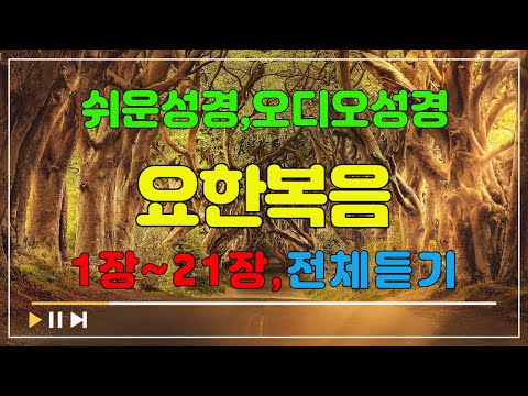 43.요한복음1장~21장,전체듣기,쉬운성경,입체낭독,성경듣기,성경통독,오디오성경