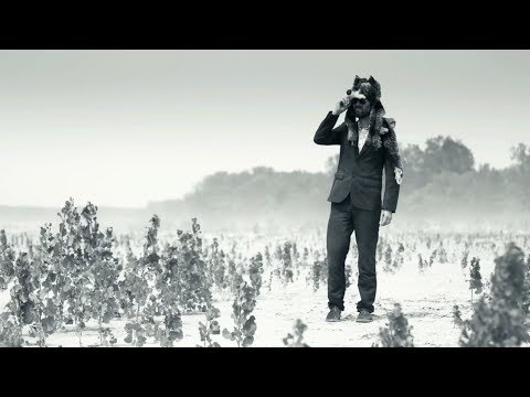 Walk Into the Wilderness - Gruff Rhys