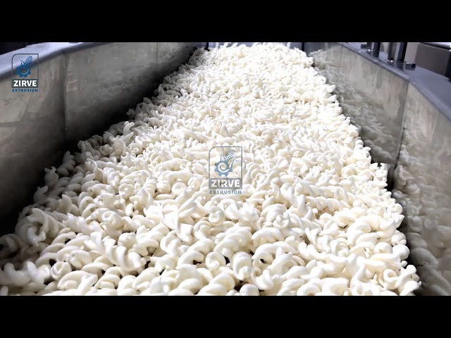 zirve extrusion | Lignes de friture turques pour frites à granulés