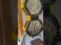 Indoor Bedroom Beehive UPDATE!