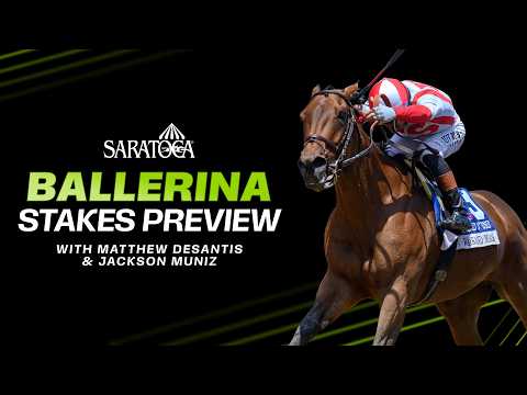 Is Nyra Bets Website Down