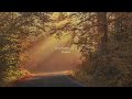 A Playlist For Romanticizing Autumn