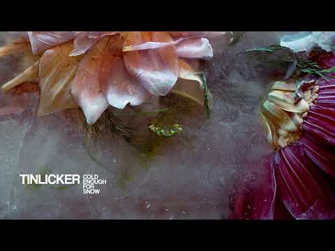 Tinlicker - Staring Down Sunset ft. Nathan Nicholson