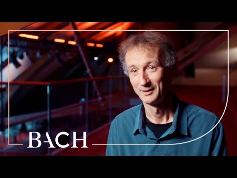 Cocset on Bach Cello Suite no. 4 in E-flat major BWV 1010 | Netherlands Bach Society