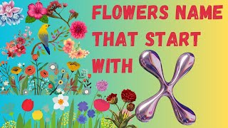 Flowers Name that Start With X | List of Fruits that Start With X | Things To Know