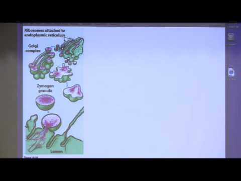 Kevin Ahern's Bite-Sized Biochemistry #15:  Allostery and Regulation of Metabolism