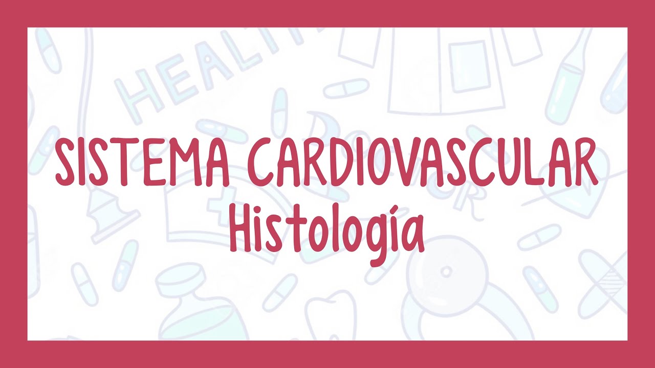 HISTOLOGÍA DEL SISTEMA CARDIOVASCULAR | ¡Fácil explicación!