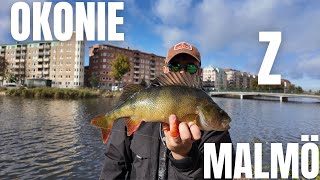 video placeholder - Street Fishing Malmö WIELKIE OKONIE!