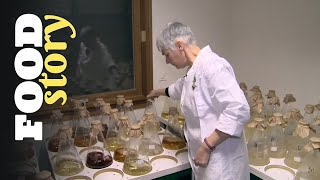 Thumbnail del capítulo