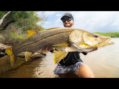 Fishing Backwater for Snook on YouTube
