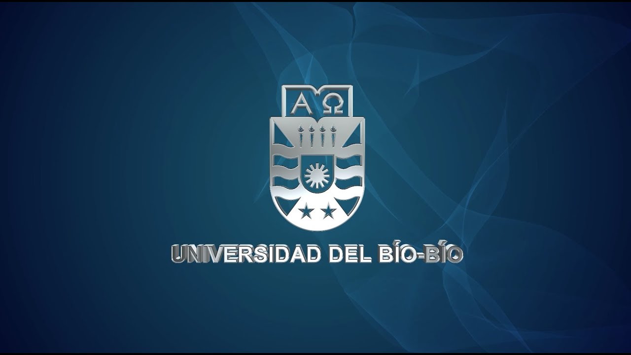 Institucional UBB
