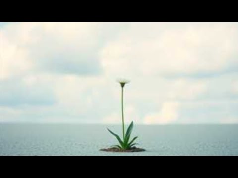 Vexel - The Sky Is Breaking (Official Music Video)