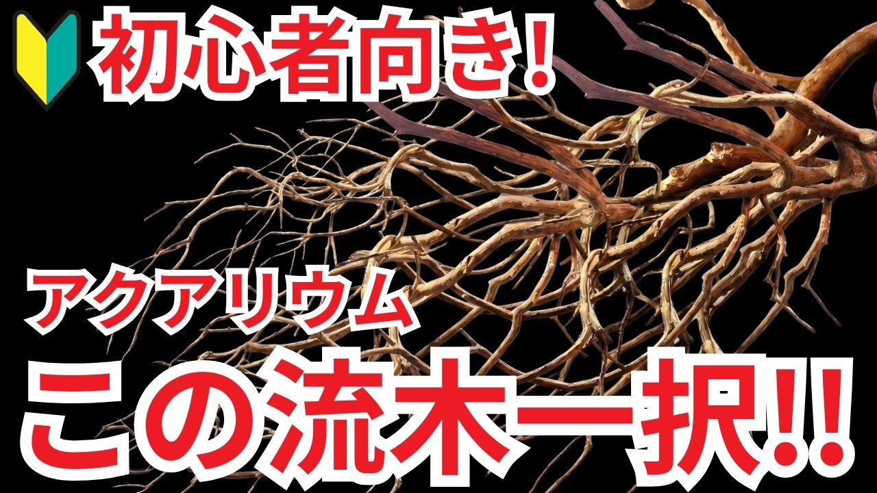 ネグロジャングルウッド