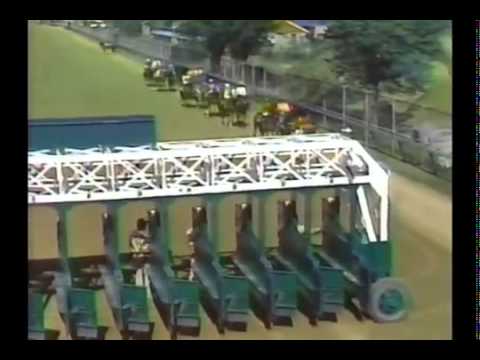 1987 Derby Trial Stakes  ABC Broadcast