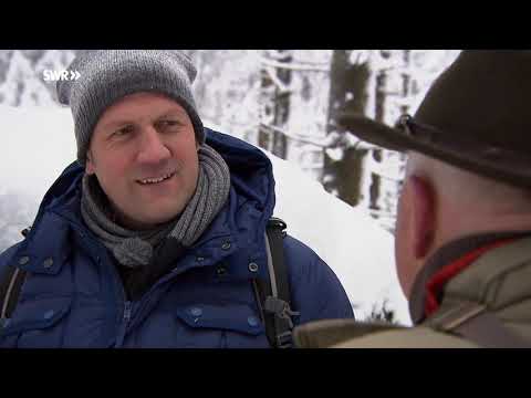 Unterwegs in der Schneifel - Expedition in die Heimat | SWR Fernsehen