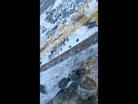 At myerscough college